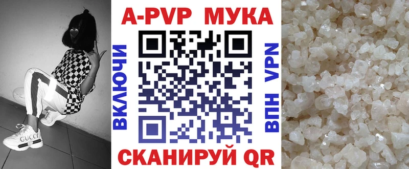 Alfa_PVP СК КРИС  OMG маркетплейс  Кизляр 