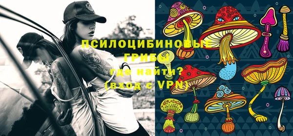 первитин Абаза