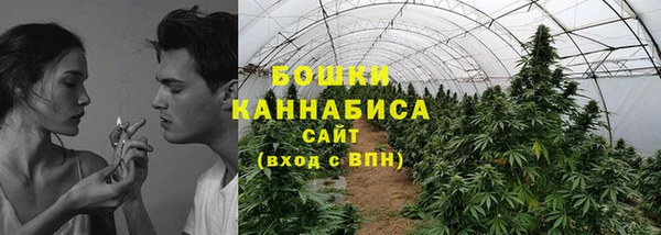 шишки Абдулино