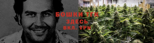 амфетамин Алексеевка