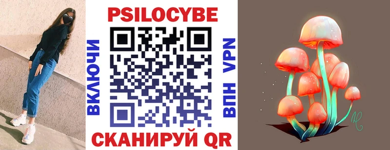 Галлюциногенные грибы Magic Shrooms дарк нет телеграм Кизляр omg ссылка