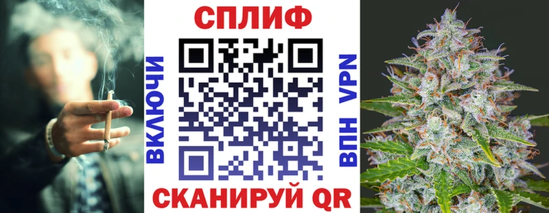 купить закладку  Кизляр  Канабис план 